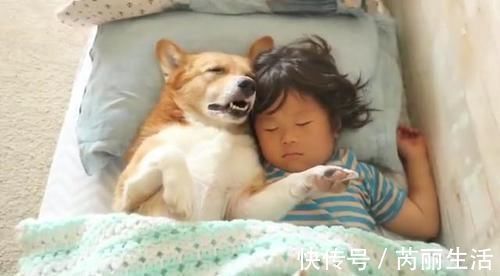 宠物狗|宝妈看女宝午睡有没有踢被子 眼前的一幕让宝妈捧腹大笑!