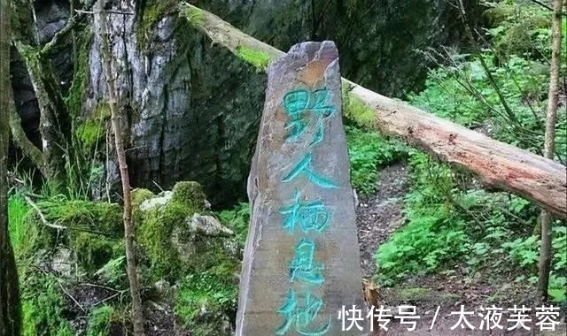 采访@19岁女子徒手打死豹子,在晚年采访中袒露后悔:宁愿自己从未打死