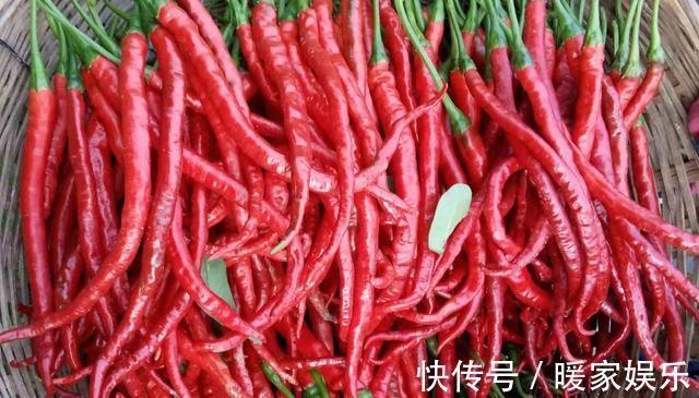 二荆条辣椒5种最好吃的做法,简单美味又过瘾,看看你喜欢吃不