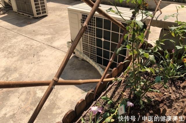 木栅栏|有露台的房子不仅可以做花园，晒衣服晒被子也很实用，邻居超羡慕！