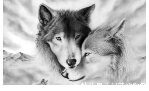 紫川@到目前为止最好看的十部网络小说,读过后许多年仍不能忘怀!