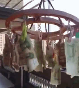 |搞笑GIF段子:不怕对手素质差,就怕对手有文化