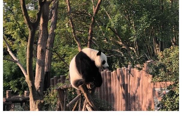 儿童乐园|适合情侣旅行的江苏小众宝藏地，身兼“多身份”，被赞惬意景点！