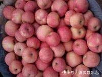 橙子|多吃以下几种水果，能清热润肺、缓解便秘，效果显著