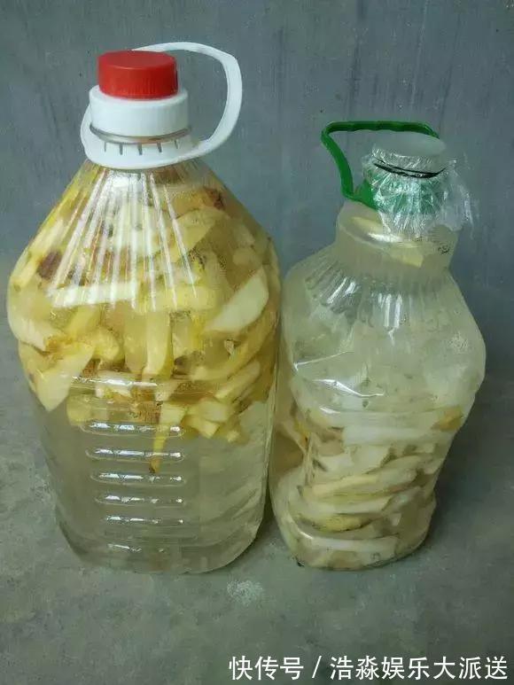 盆土板结抠不动，3种“松土剂”倒进去，松软如“发糕”！