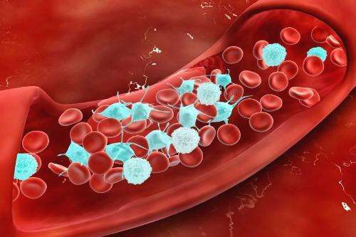 饮食习惯|天然的“阿司匹林”被找到了，经常吃一点，疏通血管，防血栓