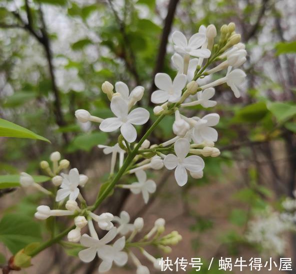 卧室|室内养花不能贪多，养得太多对身体不好，适量最重要