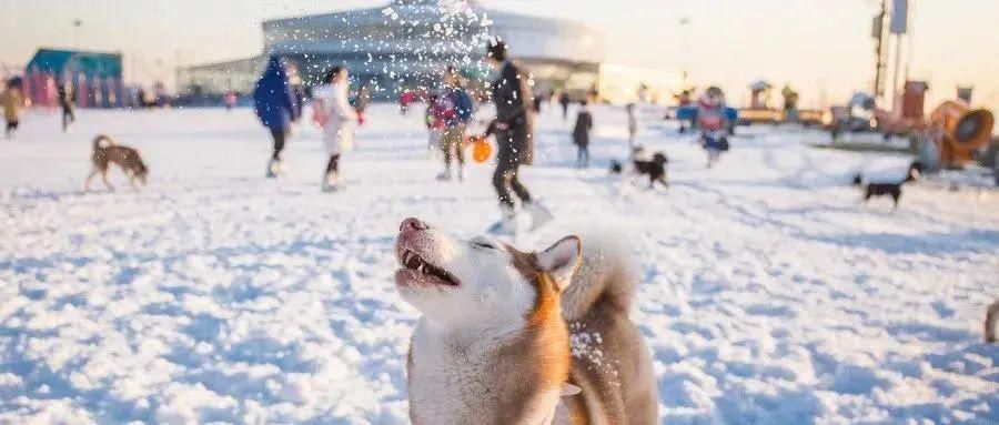 最北|12月必去的18个高性价比旅行地，欠自己的旅行，一定要还给自己！