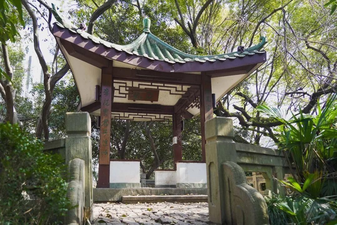 古城|春到同济！太（you）爱（fu）了（li）！