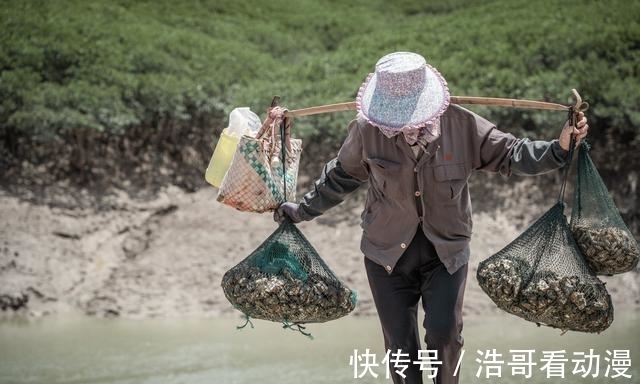 这座城|泉州申遗成功！这座千年古桥，见证了多少个潮起潮落，你去过吗？