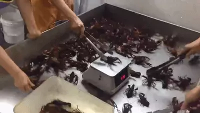传统电子称分拣，无细分品类记录