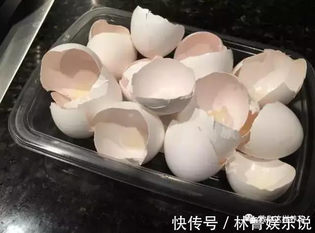 紫竹梅|3种吊兰别这么养，不然疯长爆芽，控制不住！