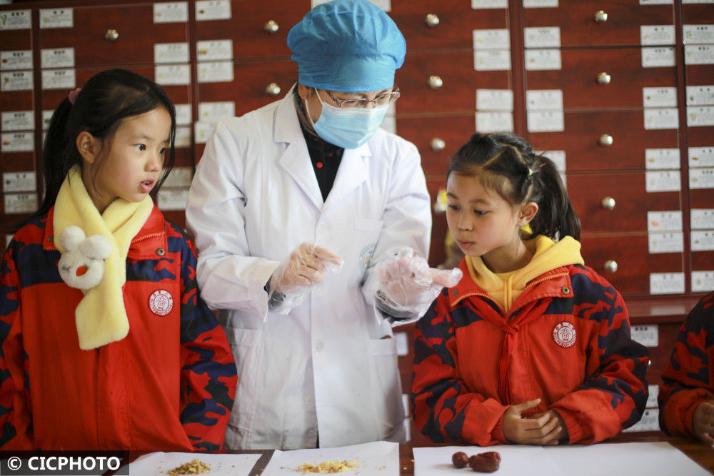 中医|体验中医文化 迎接“世界传统医药日”