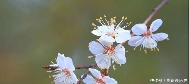 胡仔$南宋高僧志南一生只留下这一首诗,却名传千古!