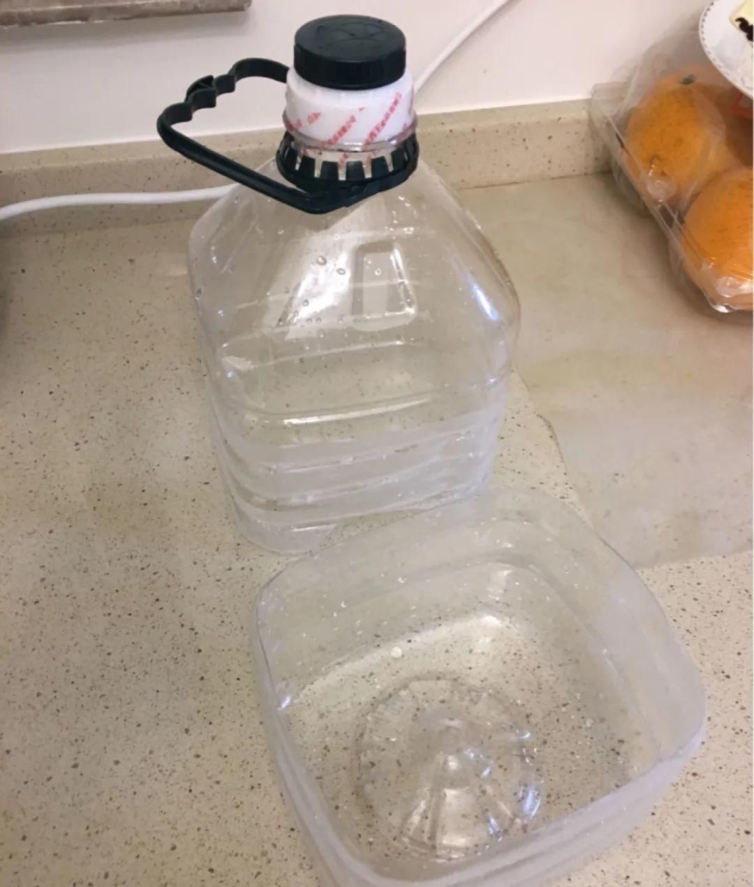 塑料瓶|旧筷子、老干妈瓶别扔,拿来养花效果好,省下一笔养花钱