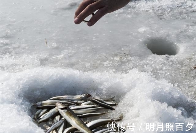 不打窝,诱鱼聚鱼都很快,这两种钓法,冬天野钓效果会更好