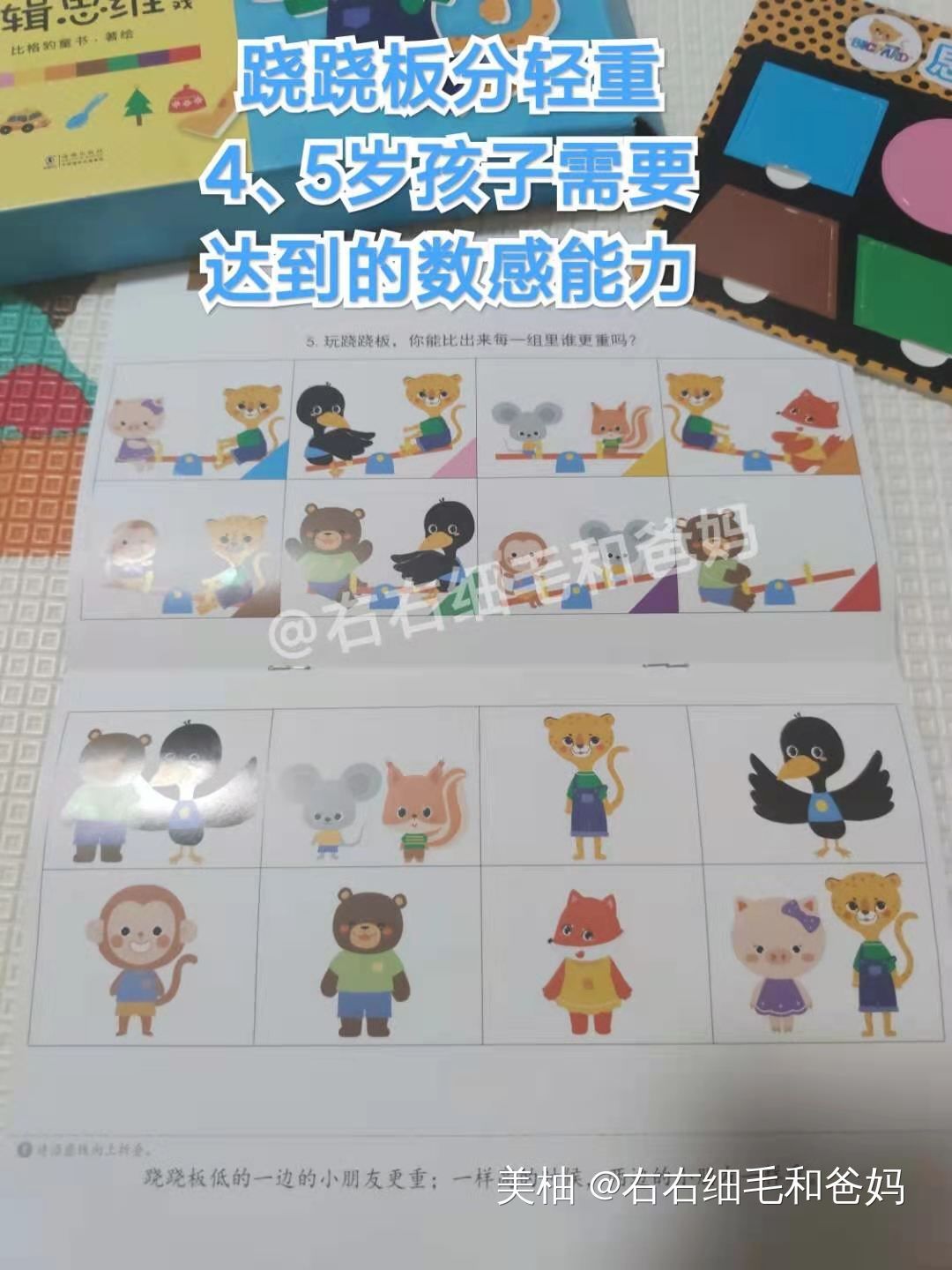 幼儿园数学教具大开眼界，家长在家没教具，也能教数学吗？