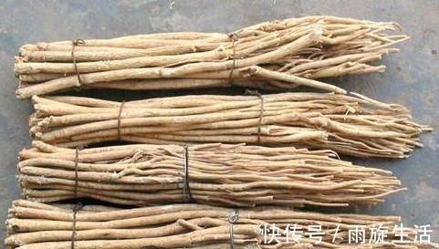 彭鑫蕊|黄芪为“补气之王”,若不注意2大食用“禁忌”,不补气还伤身体