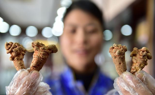 三七|中药不可以随便吃,尤其是一些土方偏方,当心损害个别脏器