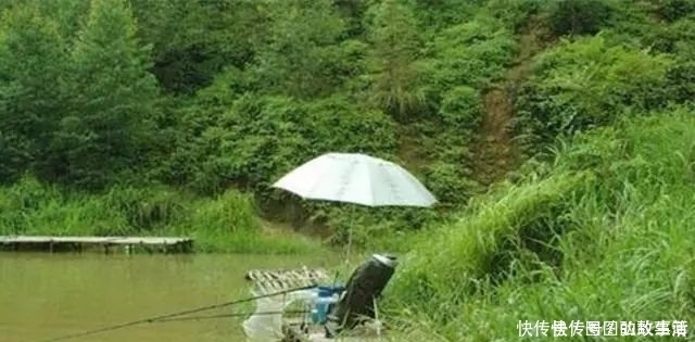 专攻|专攻大鲫鱼的2款特制饵料,上鱼速度真快其他统统靠边站