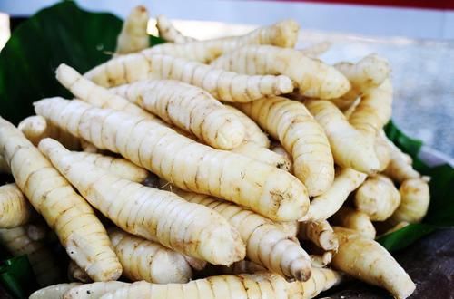 这种地下果实,长得像冬笋,煮熟后味道似红薯,如今不多见了