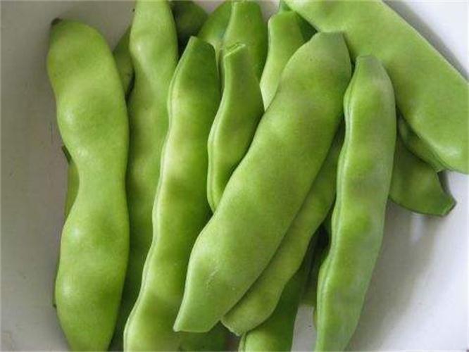 雪里红|女人想变美,不妨常吃以下食物,清热去火,降肝火,早吃早好