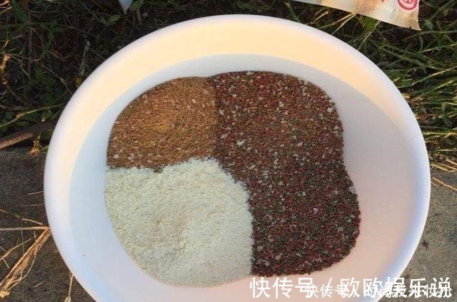 远离错误的用饵方法,用饵才能得心应手,钓鱼不再难