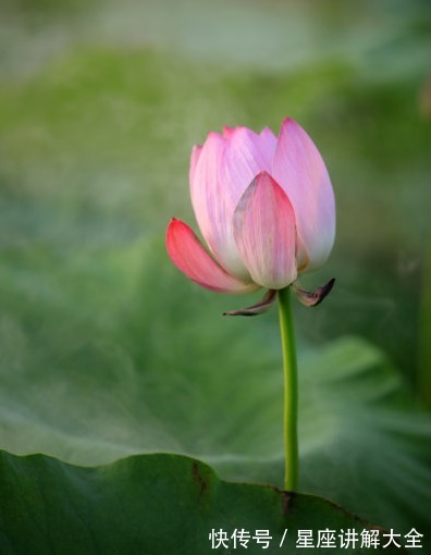 横财|10月上旬，4属相时来运转，横财大旺，桃花朵朵，收获满满