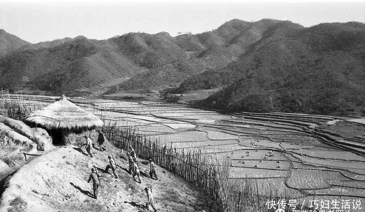 朝鲜战场|珍贵档案,30张朝鲜战争照片