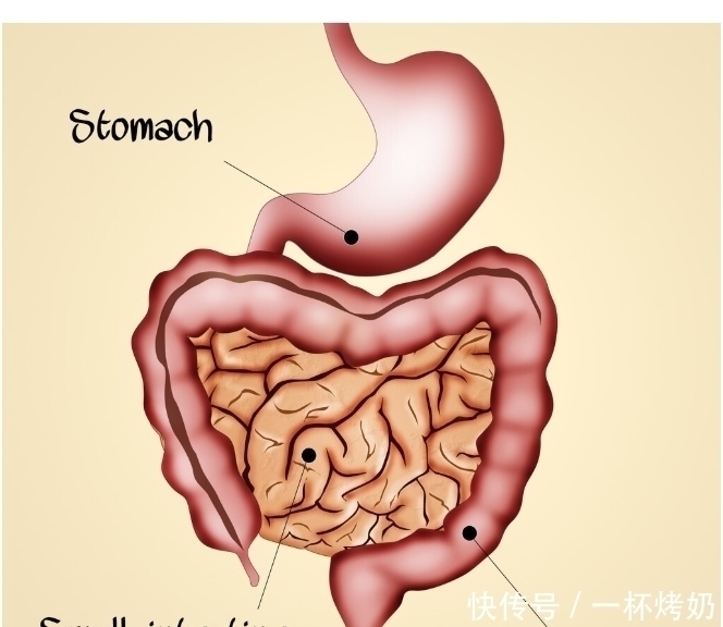 医生|肠癌的症状和前兆,是怎样的?医生的答案来了