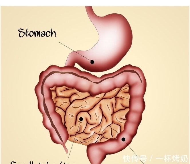 医生|肠癌的症状和前兆，是怎样的？医生的答案来了
