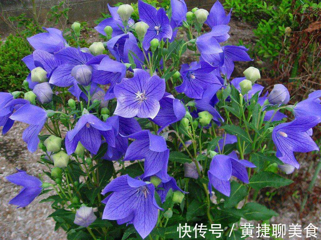 全方|清代名医王清任,6张活血化瘀方,打遍天下无敌手,用过的都说好