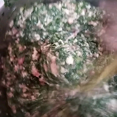 荠菜肉馅饺子馄饨