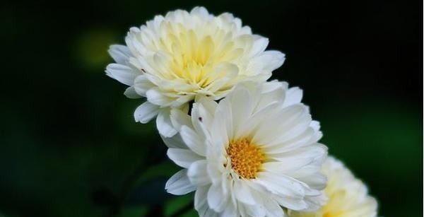 学习习惯|孩子以后能否成大器,和成绩无关,这3句话点醒无数父母