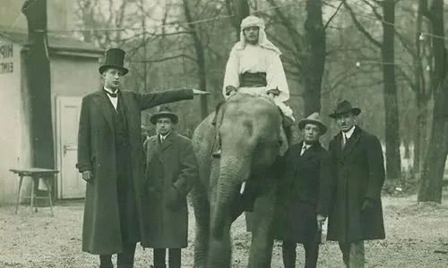 被评|1米6英国兵俘虏2米3的德国兵,其他俘虏笑场,被评最萌身高差