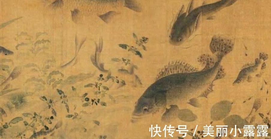 刘寀#东方画谱为何选清晰度不够的《落花游鱼图》入册?