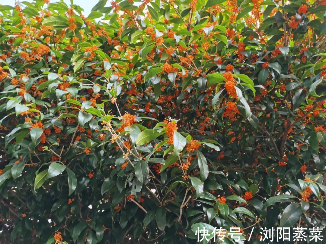 自信|当你相信你的孩子时,你的孩子就会开始自信!