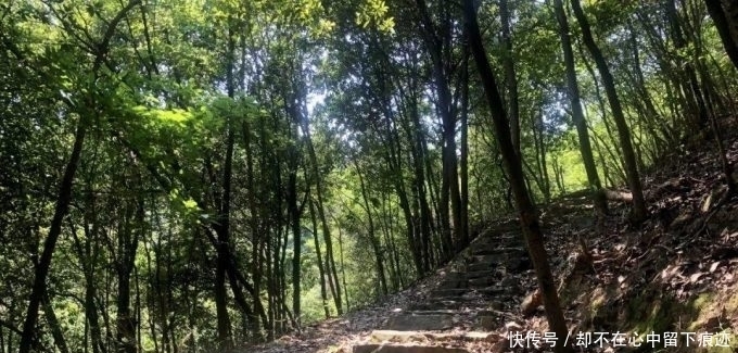 浦江白泥岭古道：遍地都是古董宝贝，可不是只有博物馆的宝贝