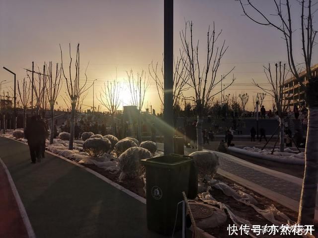 悬念|文章贵曲不贵直