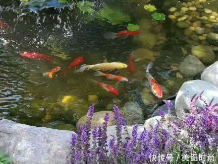 美好时光|花园改造：3年前买了栋带170㎡花园的房子，过上种花草的乡村生活