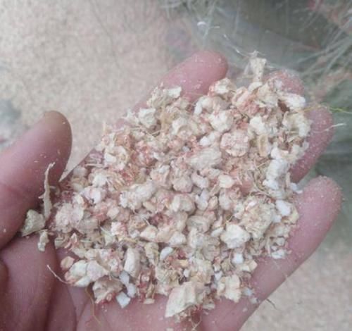 胆固醇|中国人丢掉的垃圾，在国外却是“顶级食材”，中国吃货失策了