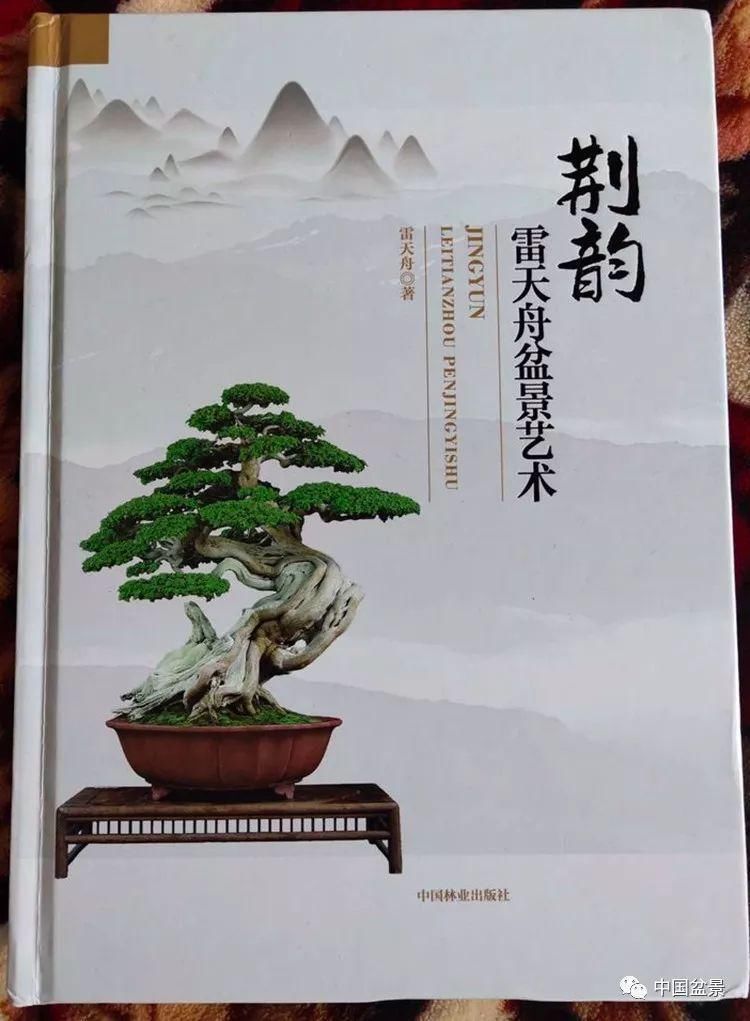  技艺|传播盆景技艺 相约千年古城