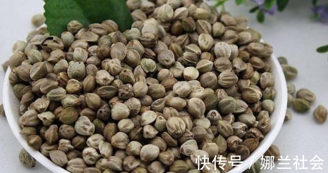 长寿花|君子兰肥到流油，长寿花开不断，原来他用了这个小方法！