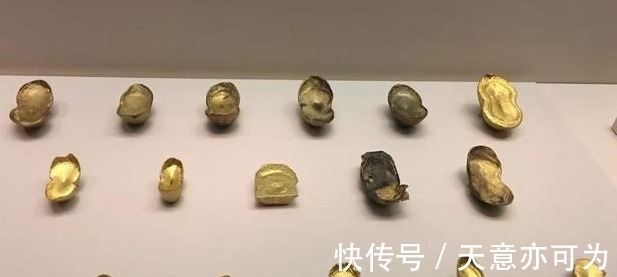 黄金&李自成用18头驴秘密把黄金运到山脚,知情人被杀,现藏宝被发现