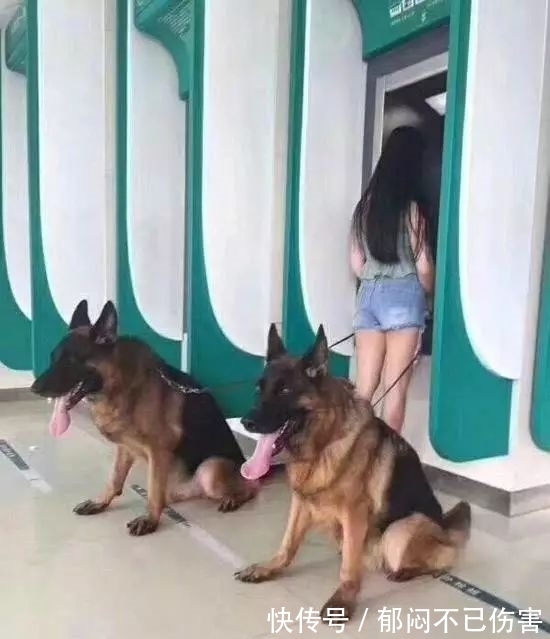 |笑话段子搞笑图片:一笑解千愁,保证让你乐一天