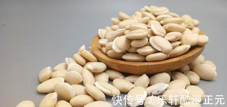板栗|秋季健脾很重要,分享八种健脾的食物,多吃它们,顺利过秋季