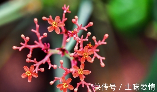 分寸|做人,可以精明,但不能“过头”