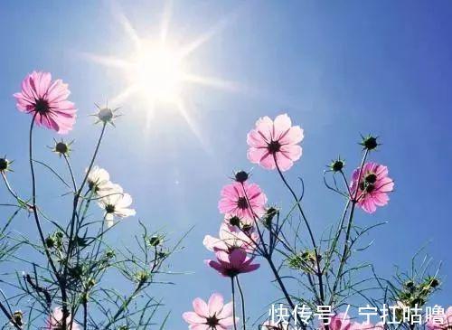 频量|哪种中成药见效快?如何挑选中成药?老中医为你讲解