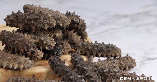 春节即将临近 不会泡发海参的小伙伴快来看吧!