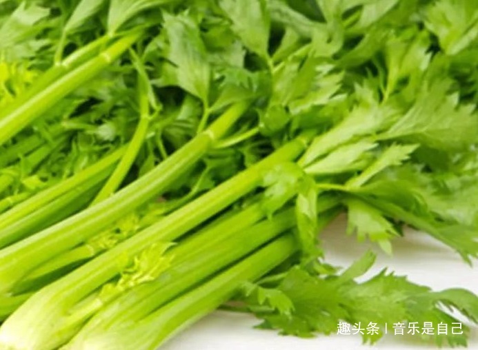 芹菜|女性不想早衰，坚持吃4种食物，改善肠胃，护肤美容，补充维生素
